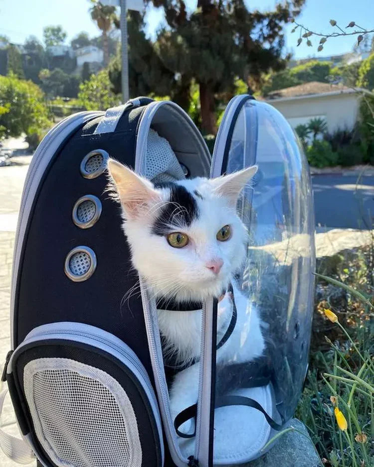 Mochilas España - Mochila de transporte para gatos