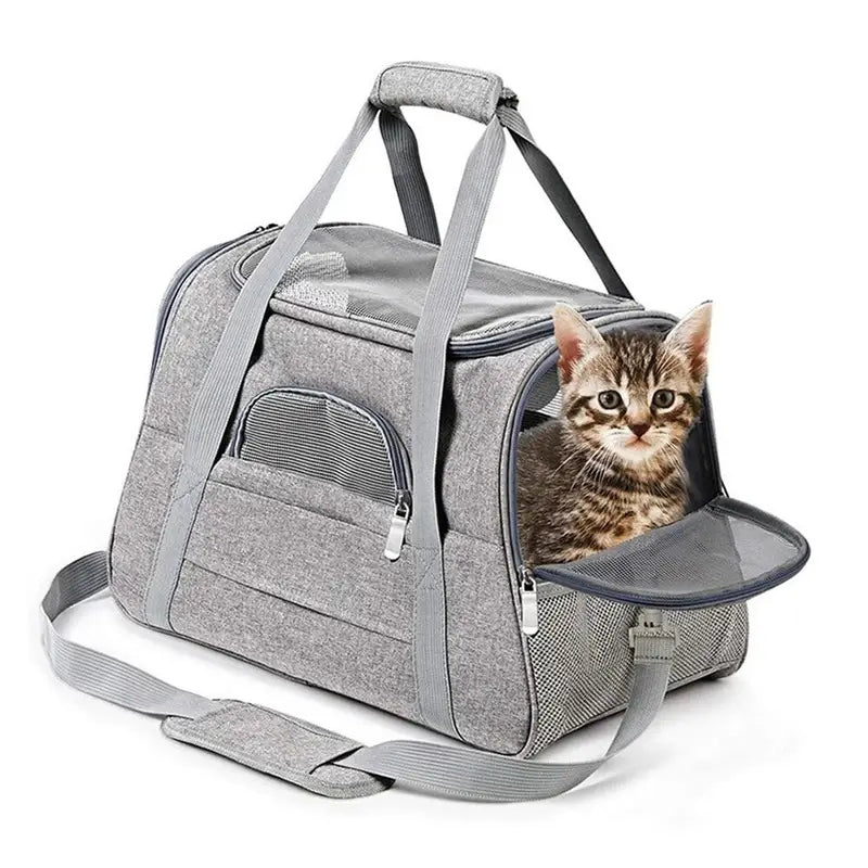 Mochilas España - Bolso de Transporte para Gato