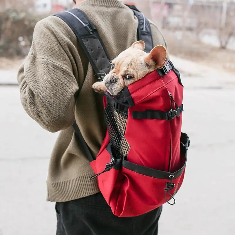 Mochilas España - Mochila para Transportar Perros de 20 kg