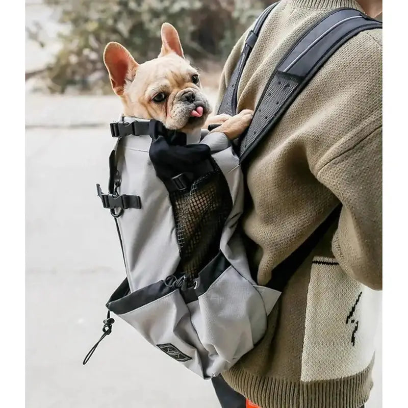 Mochilas España - Mochila para Transportar Perros de 20 kg